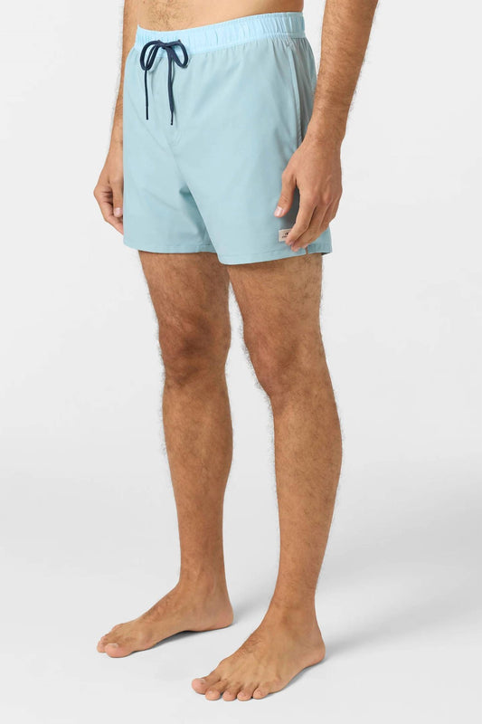 O'Neill - Oneill Men's Hermosa Lined Volley Trunks