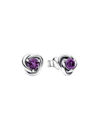 Pandora - Etenity Circle Stud Earrings