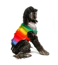 Chilly Dogs - Rainbow Mohawk Dog Sweater