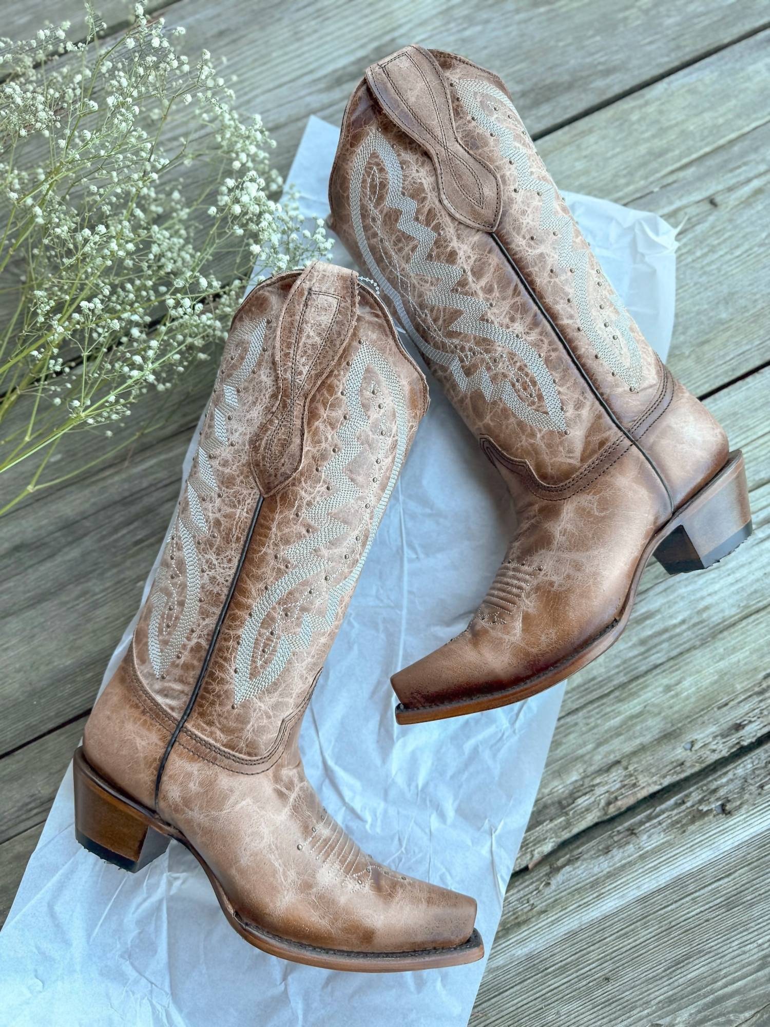 Corral - Women's Circle G Embroidery & Studs Boot
