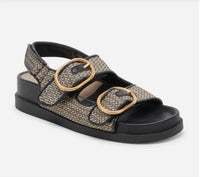 Dolce Vita - Women's Starla Sandal