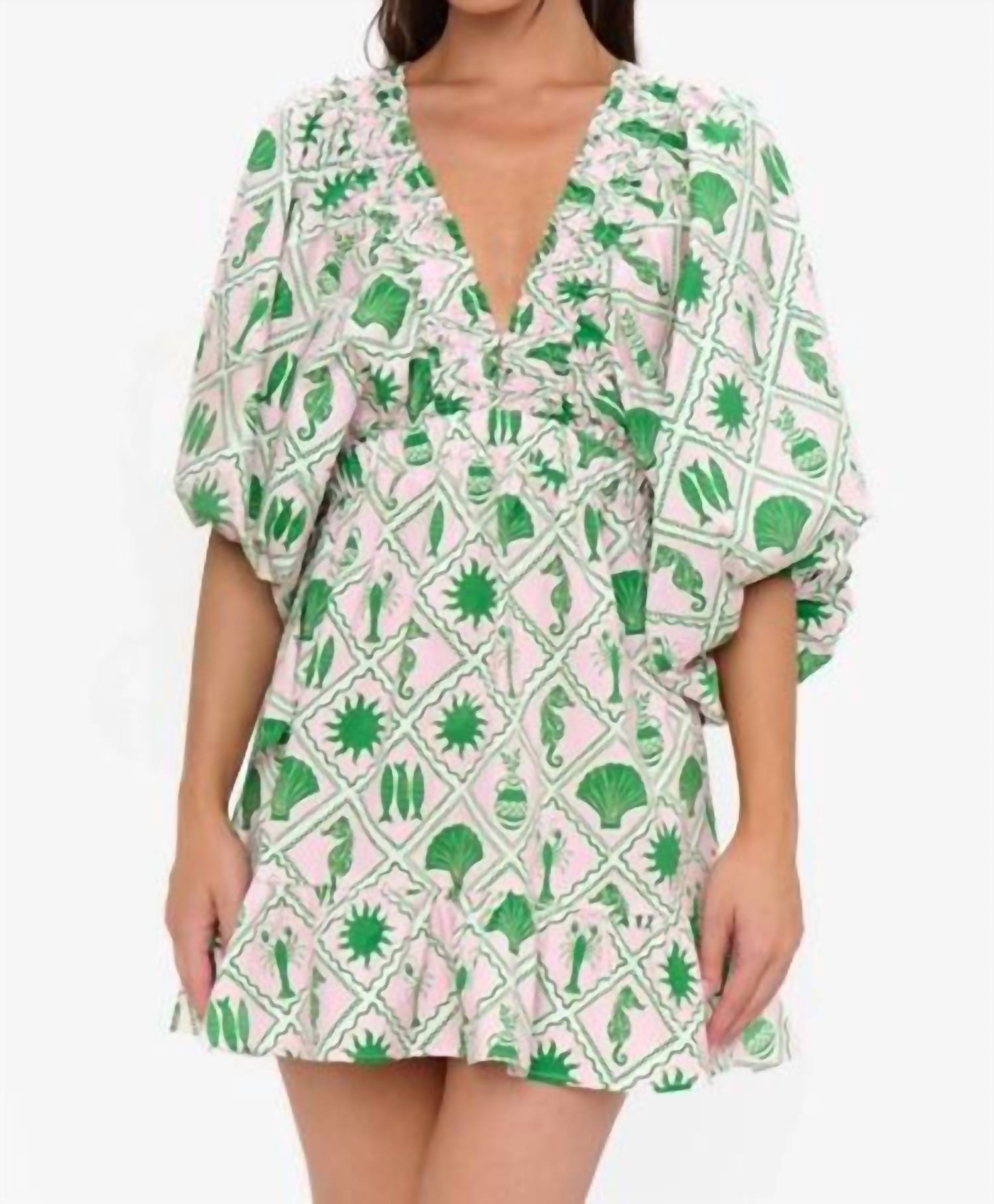 Show Me Your Mumu - Hadley Mini Dress