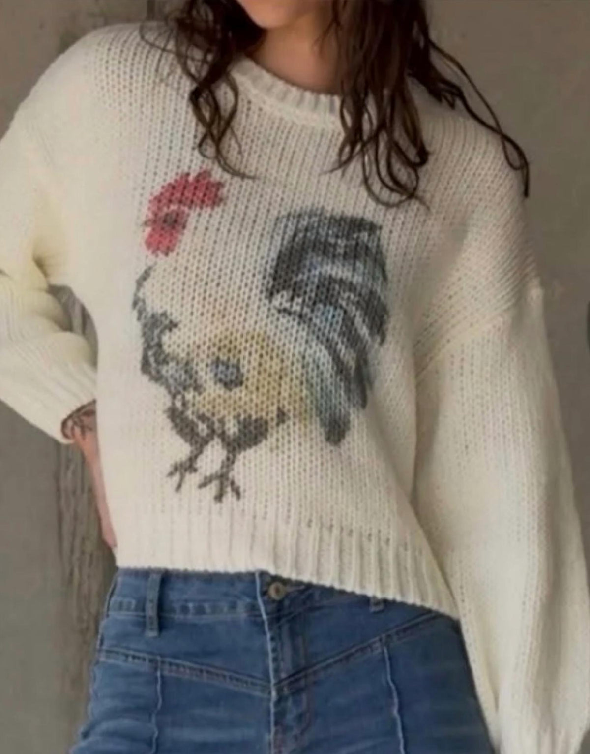 Addy & Me - Chicken Sweater