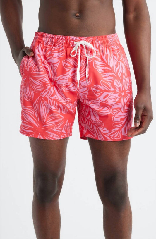 Chubbies - Swim Trunks