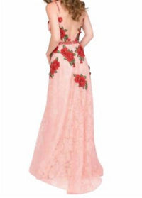 Lace Embroidered Dress