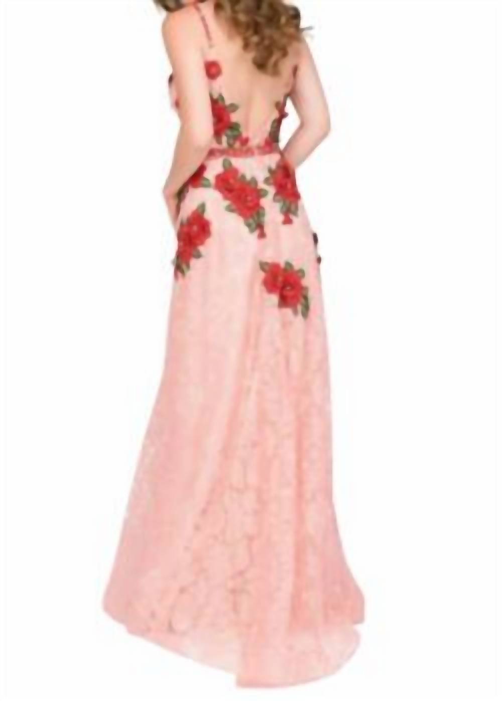 Lace Embroidered Dress