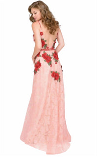 Lace Embroidered Dress