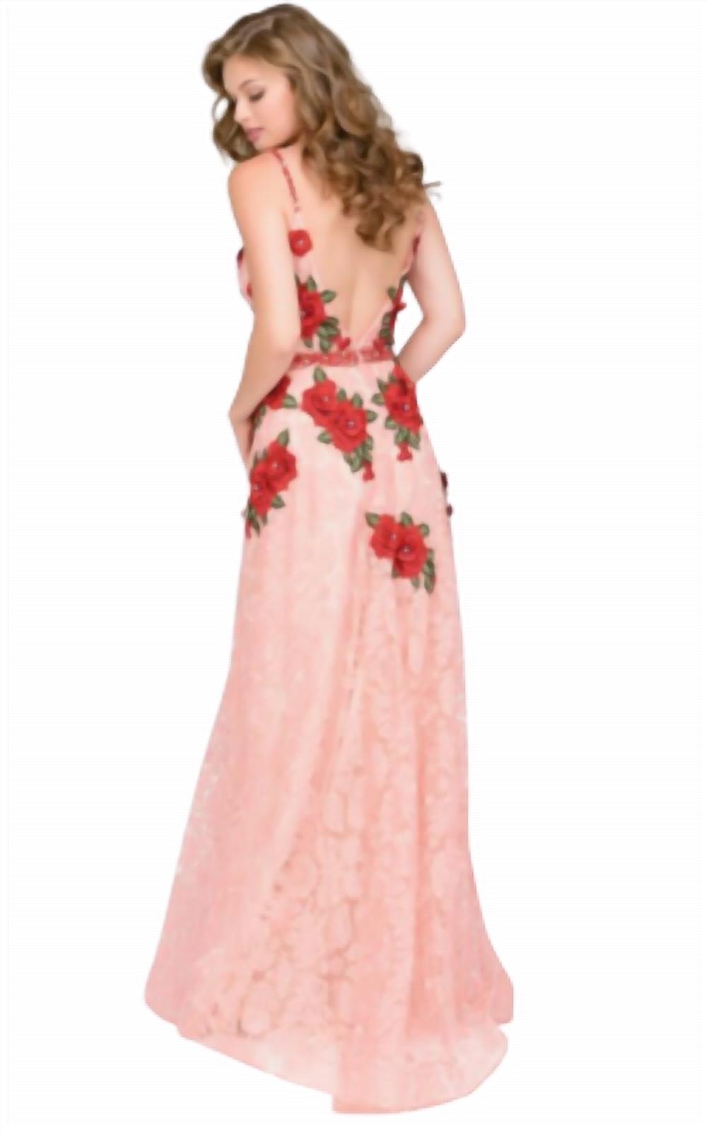 Lace Embroidered Dress
