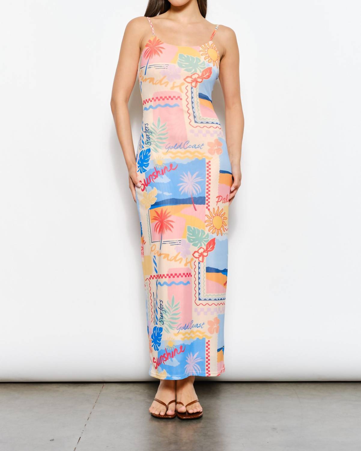 Pretty Garbage - Print Mesh Column Maxi Dress