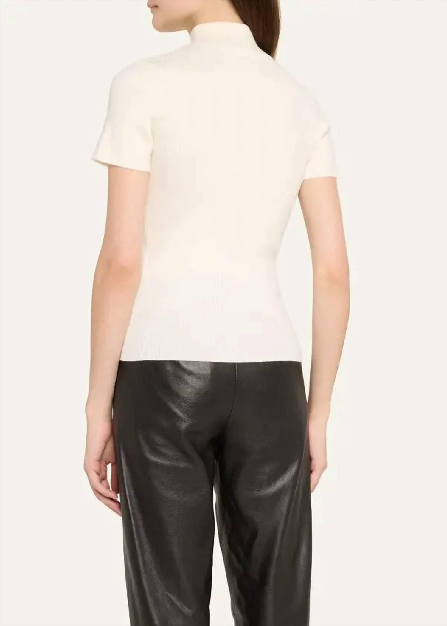 Iro - Alec Ribbed Mock Neck Sweater
