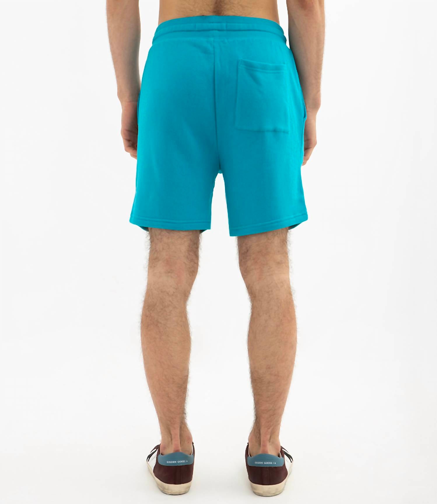 SOL ANGELES Waves Short in baltic - men's shorts - alternate view