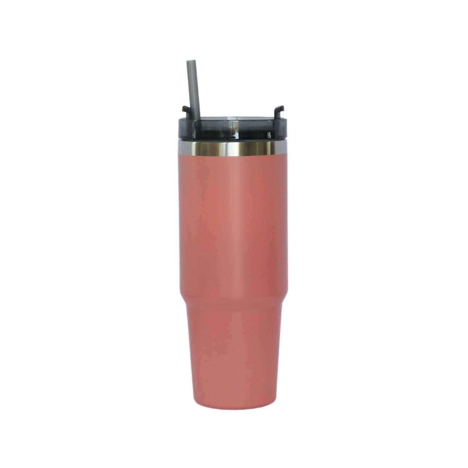 Creative Gifts International - Stainless Steel Tumbler with Straw