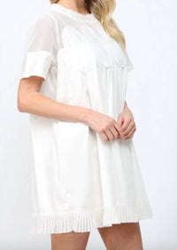 Fate - Mesh Mini Dress