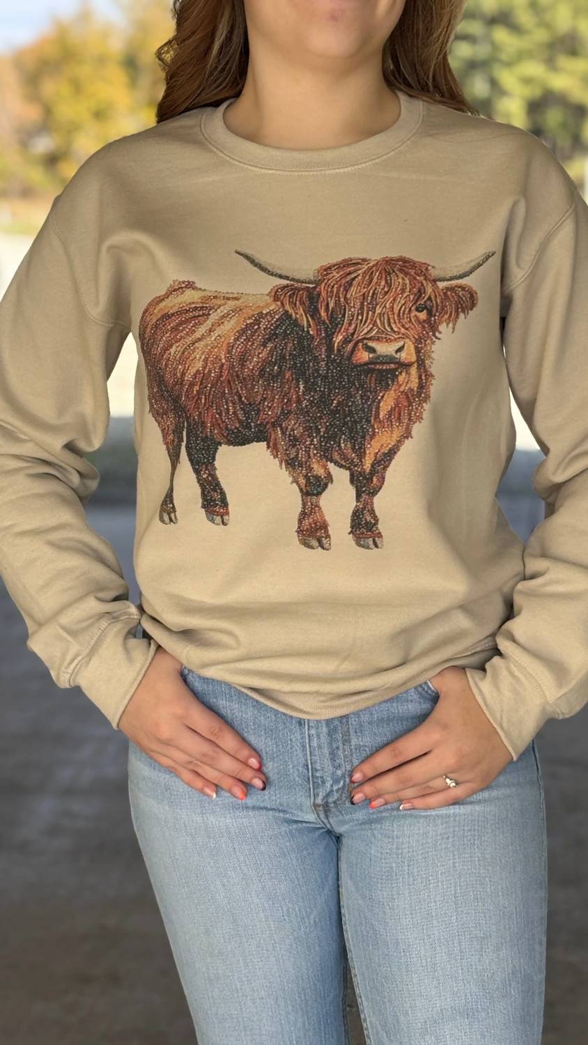 The Walking A - The Bedazzled Highland Sweatshirt