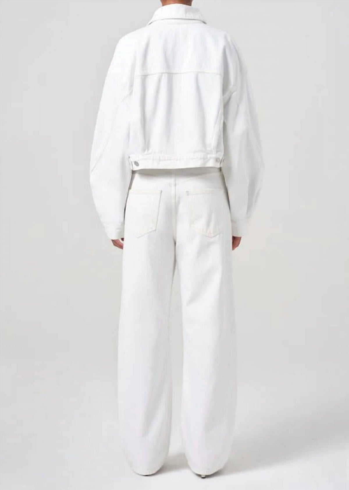 Agolde - Low Curve Barrel Jean