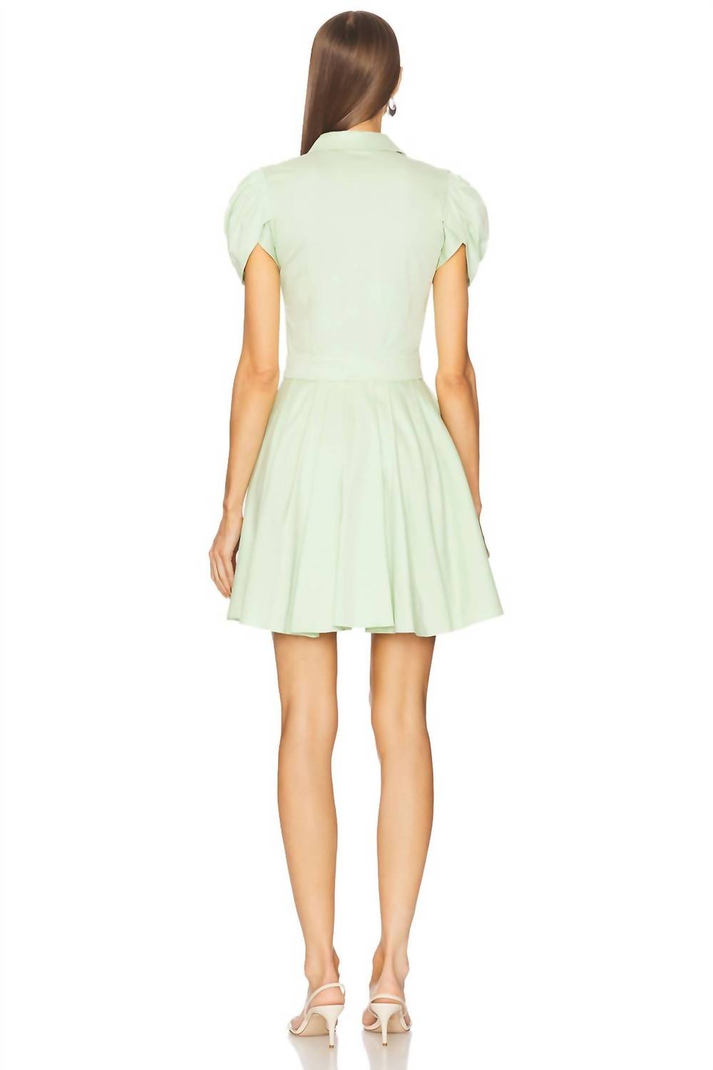 Alexis - April Mini Dress