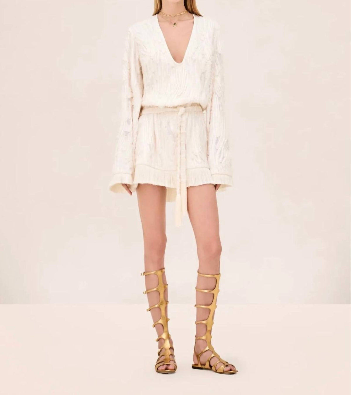 Alexis - Jen Long Sleeve Mini Dress