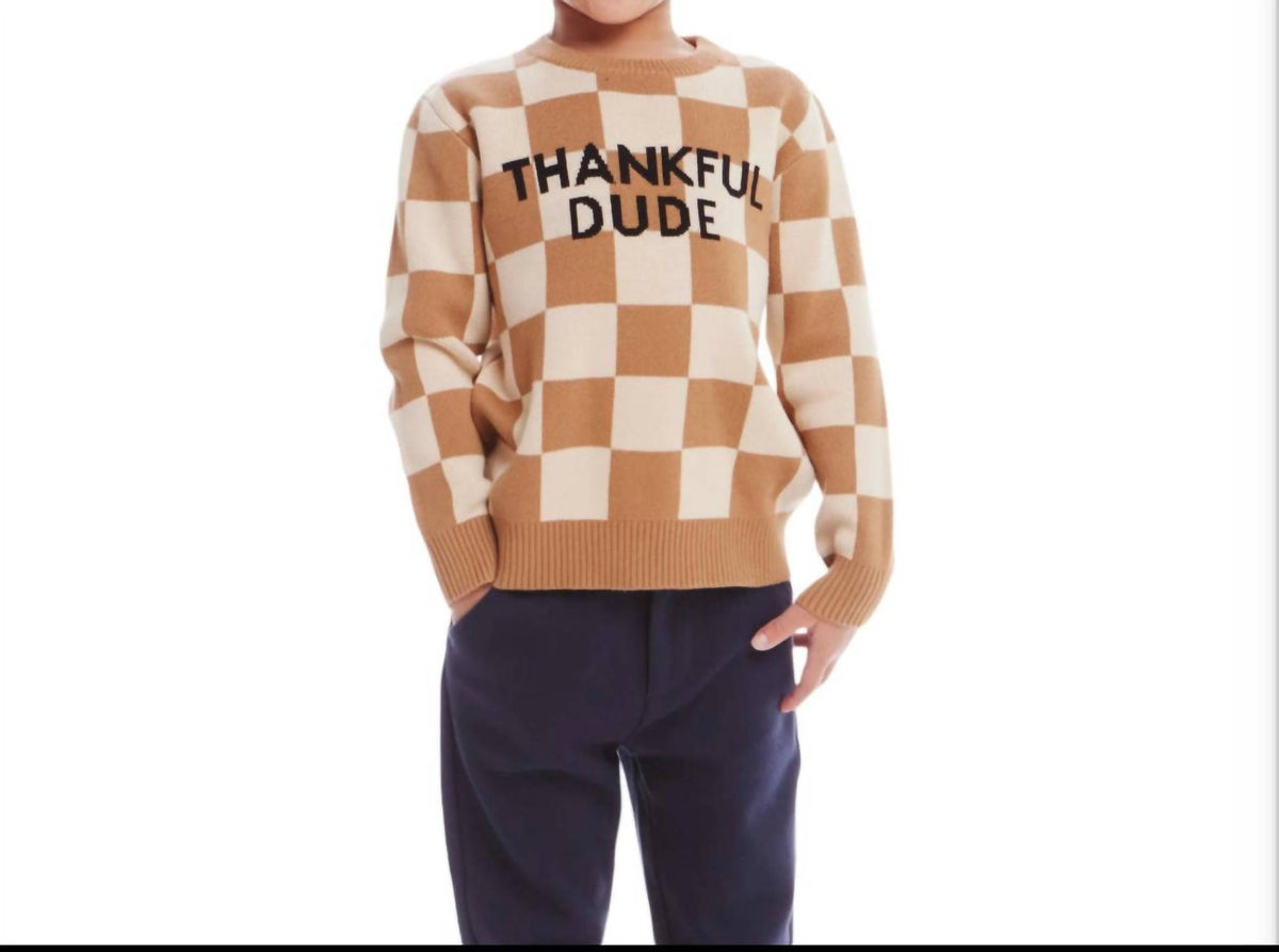 Andy & Evan - Thankful Dude Sweater
