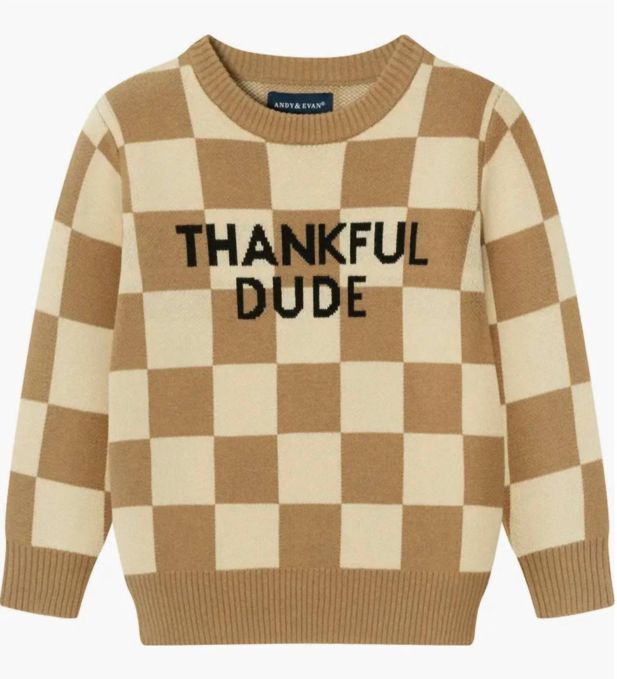 Andy & Evan - Thankful Dude Sweater
