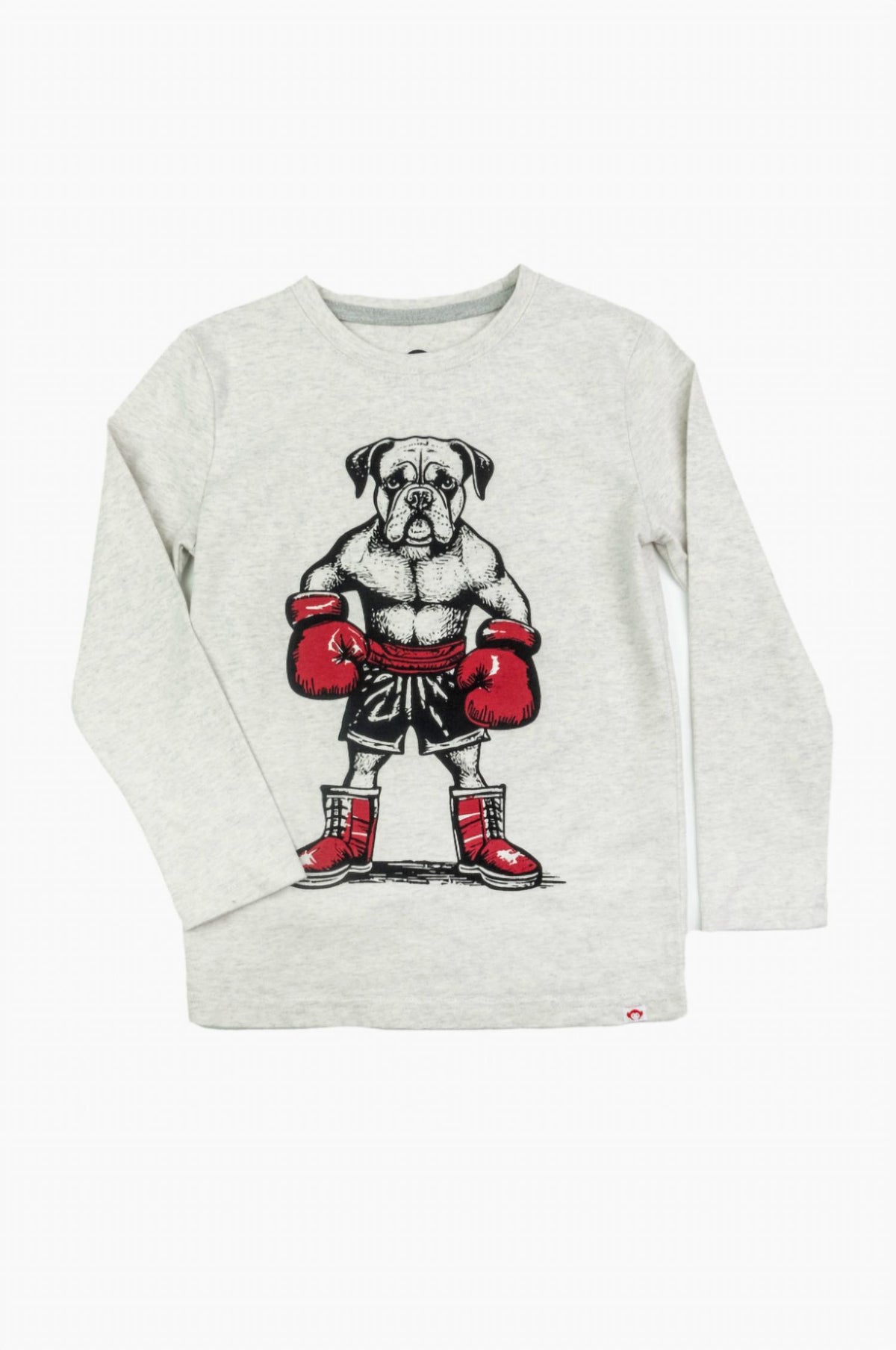 Appaman - Graphic Long Sleeve Tee