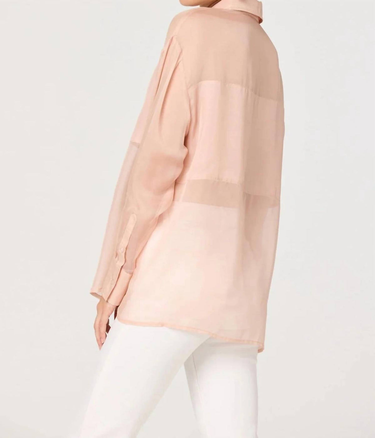 Astr - Evie Sheer Button Up Shirt