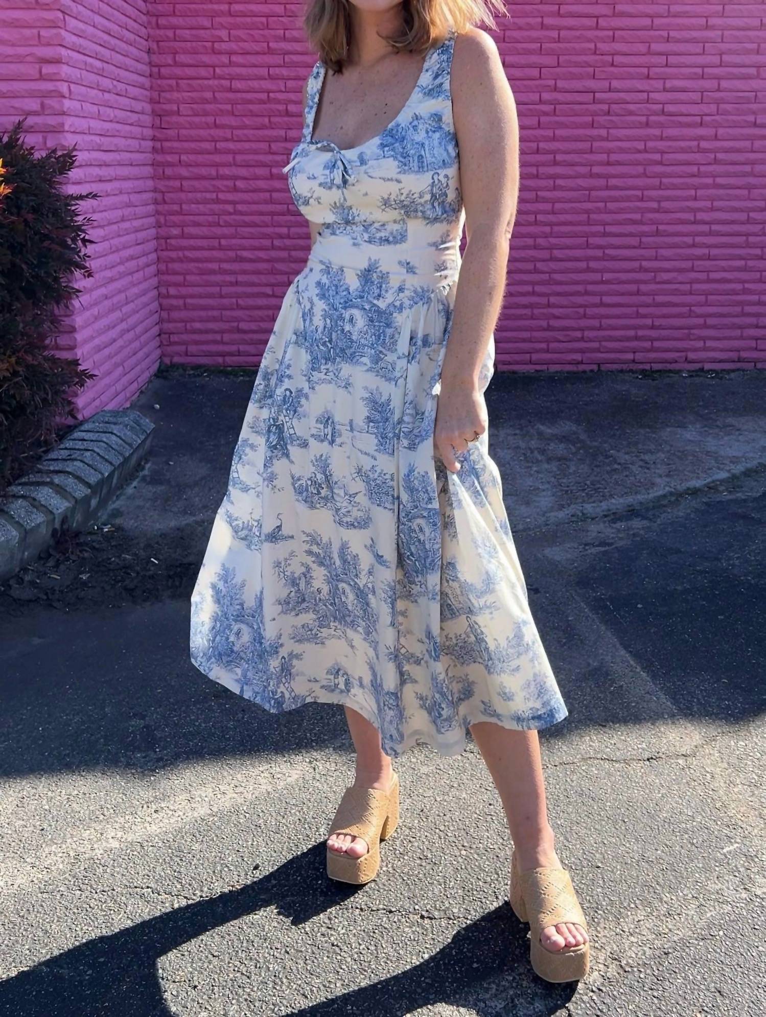 Aureum - French Cottage Toile Print Midi Dress - blue - clothing - dresses