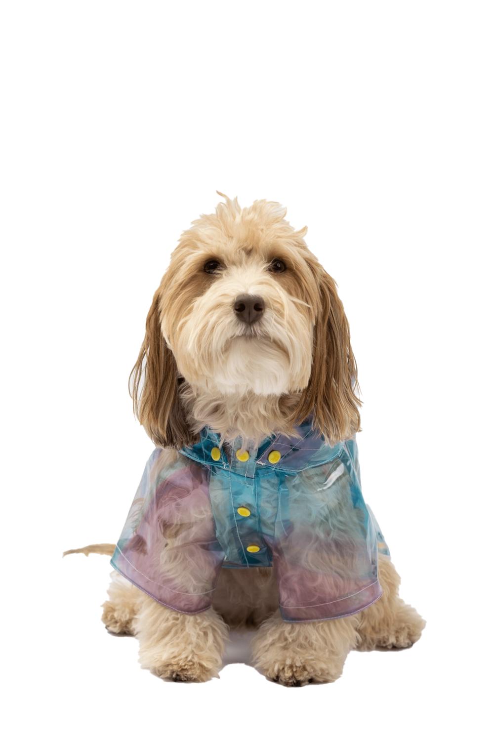 Silver Paw Kinney Dog Translucent Raincoat in multi - item