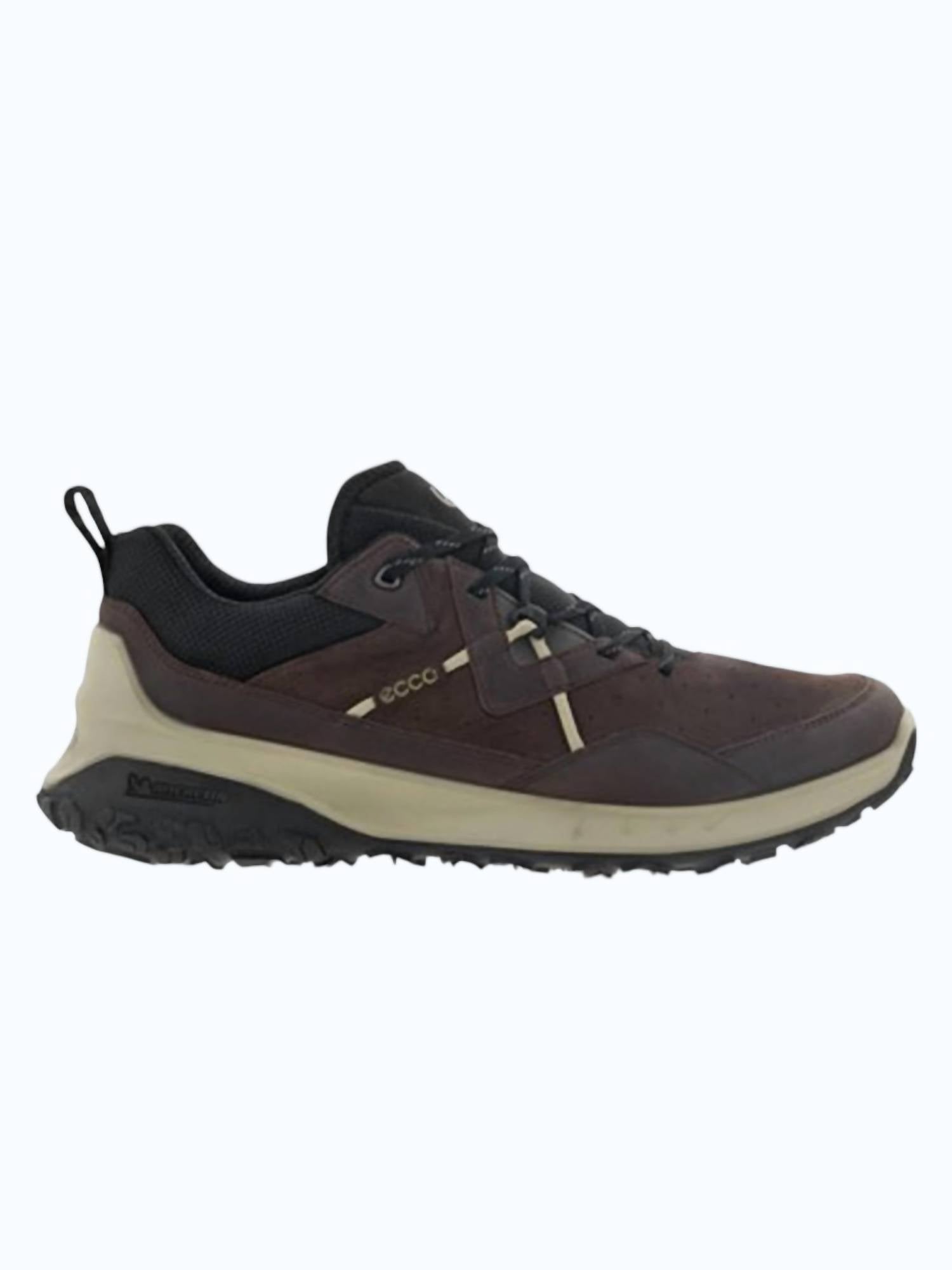 ECCO Men's Ult-trn Low Hiking Shoe in mocha - men's shoe