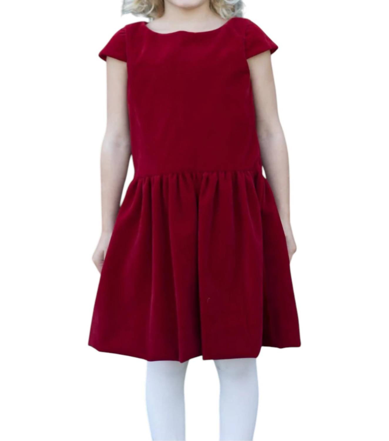 Busy Bees - Alexa Dropwaist Party Dress