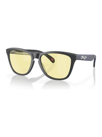 Oakley - Frogskins Rectangle Non Polarized Sunglasses 9013-l455