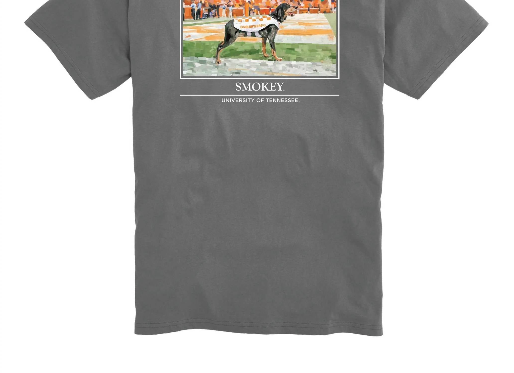 Onward Reserve - Men's Smokey tee