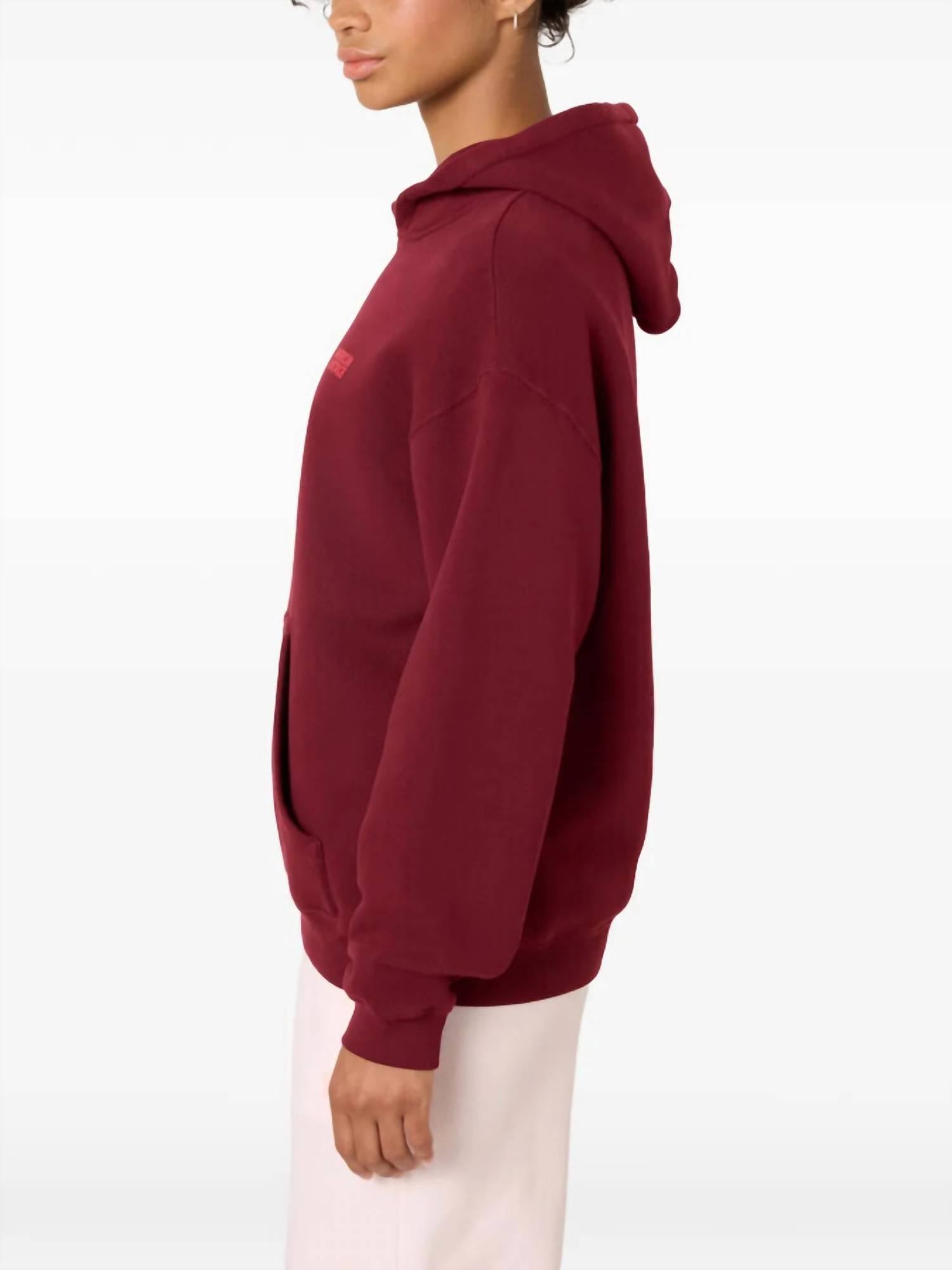 American Vintage Izubird Long Sleeves Sweatshirt in cervi - women's top - alternate view