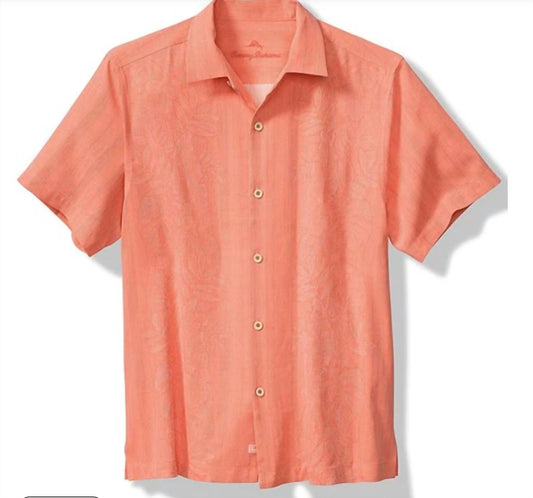 Tommy Bahama - maui border