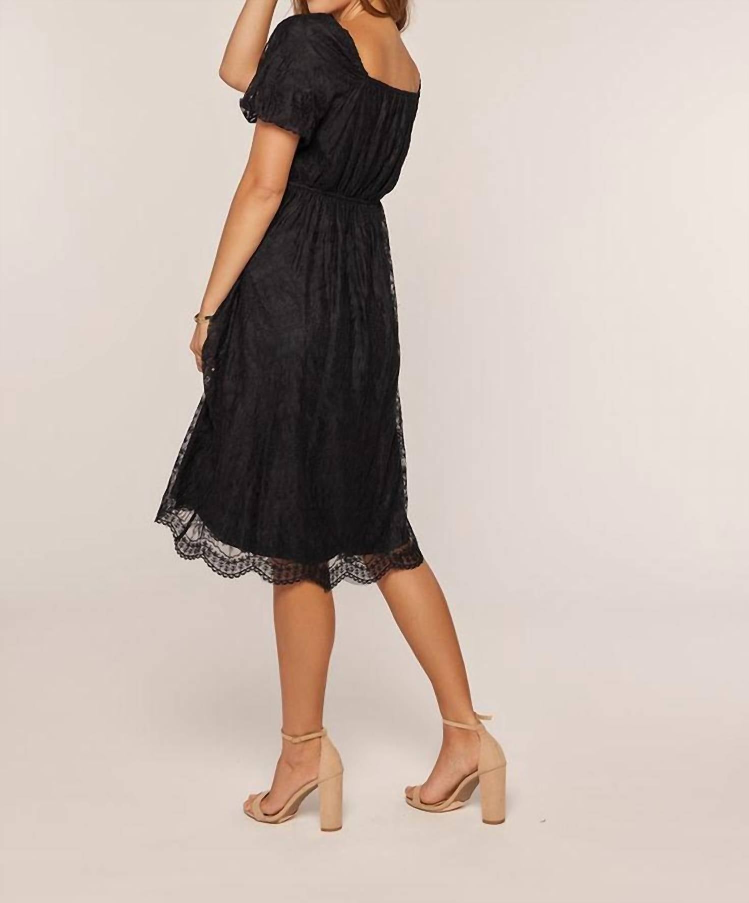 Tea N Rose - Storment Dress