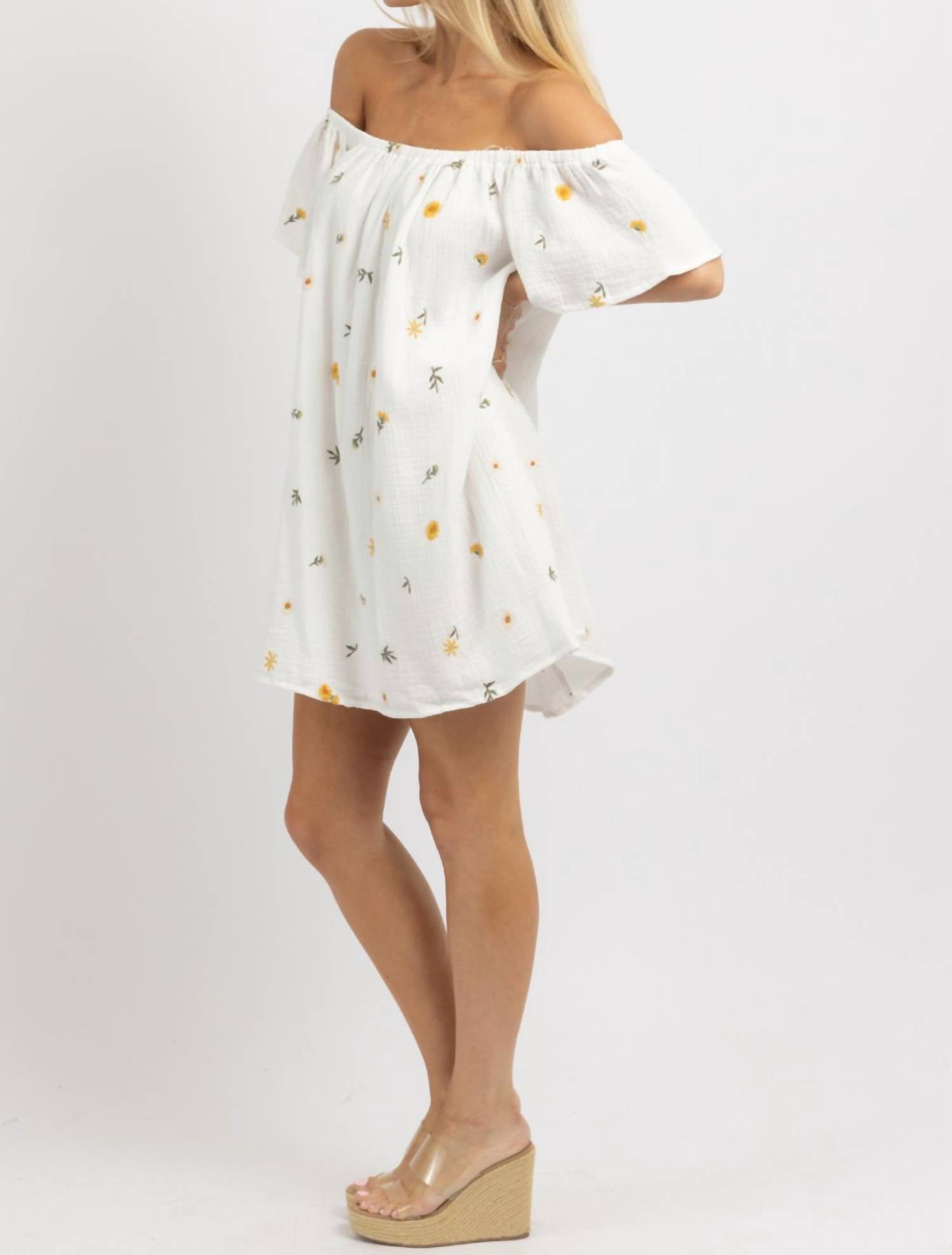 In February - May Embroidered Mini Dress