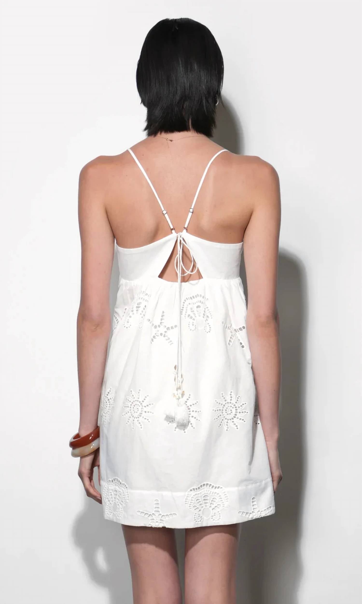 Greylin - Daisy Embroidered Mini Dress
