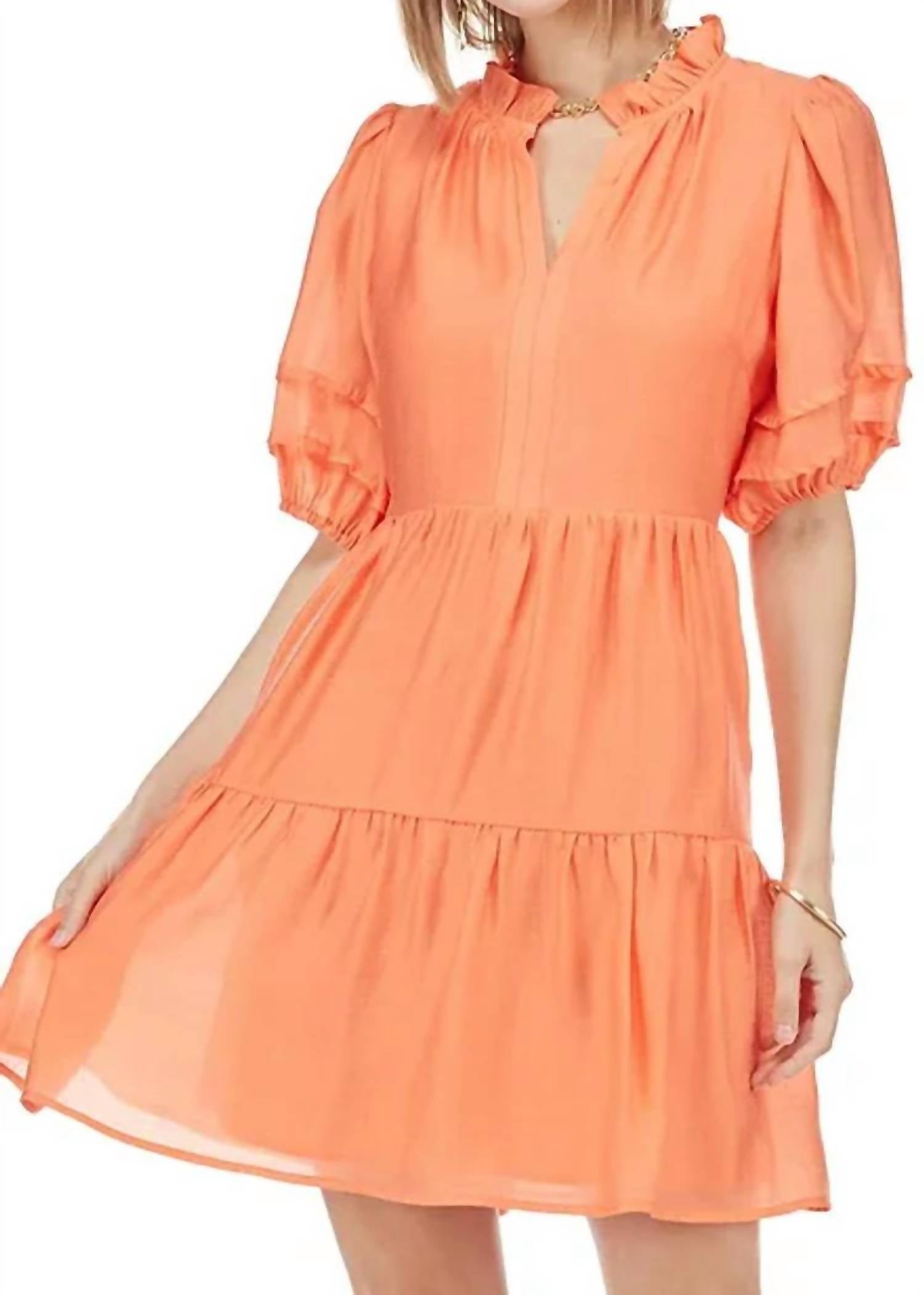 Joy Joy - STITCHED SLEEVE DRESS