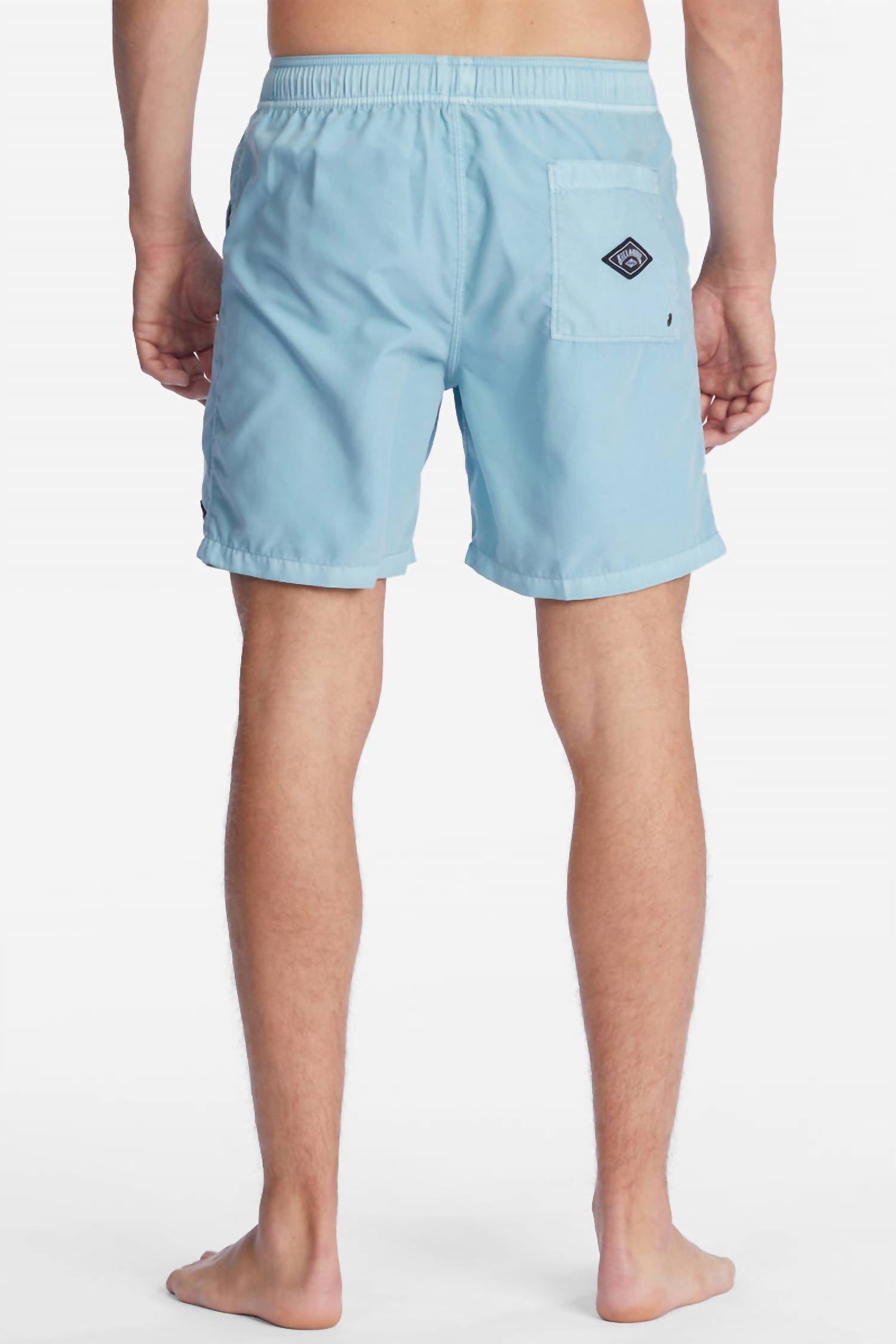 Billabong - All Day Overdyed Trunks