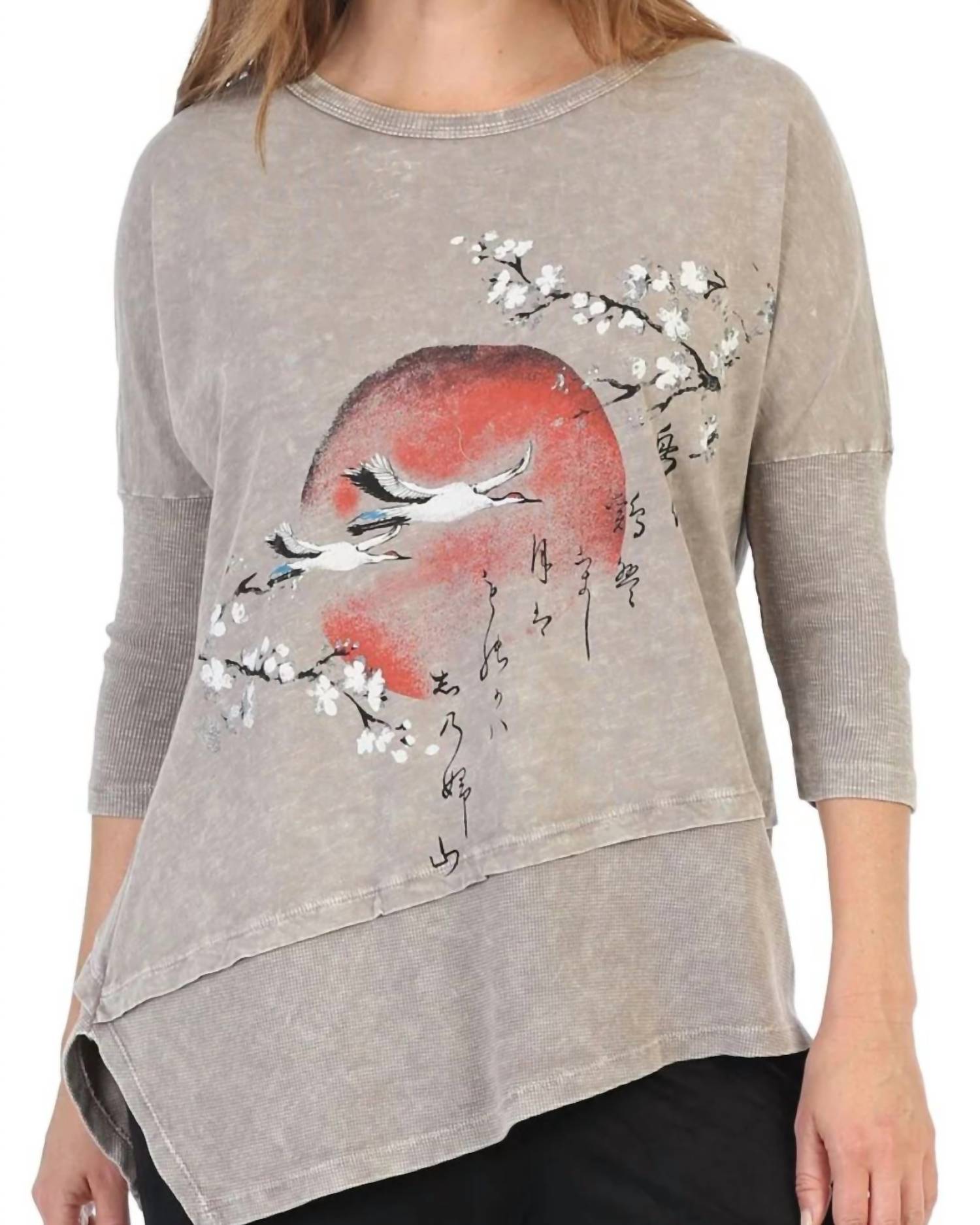 Jess & Jane Thousand Miles Mineral Washed Dolman Sleeve Cotton Top - Plus in taupe - women's blouse - detail view