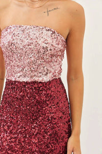 Idem Ditto - Sparkling Two Tone Color Block Sequin Stretchy Mini Dress