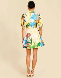 Mestiza New York - Brooklyn Mini Dress