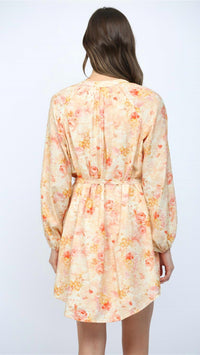 Fate Raglan Sleeves Button Down Mini Dress in peach multi - women's dress - alternate view