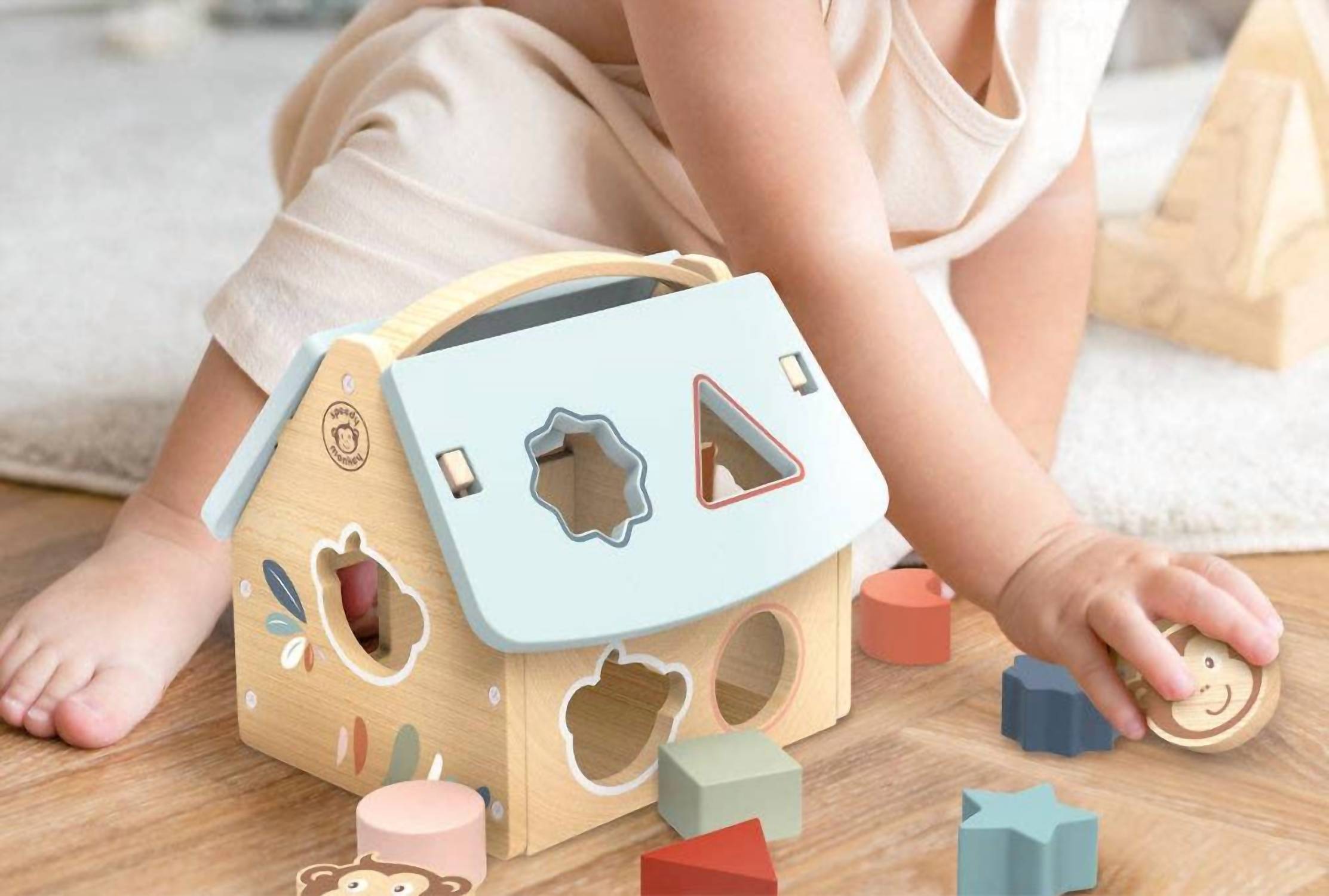 Speedy Monkey - Kid's House Shape Sorter