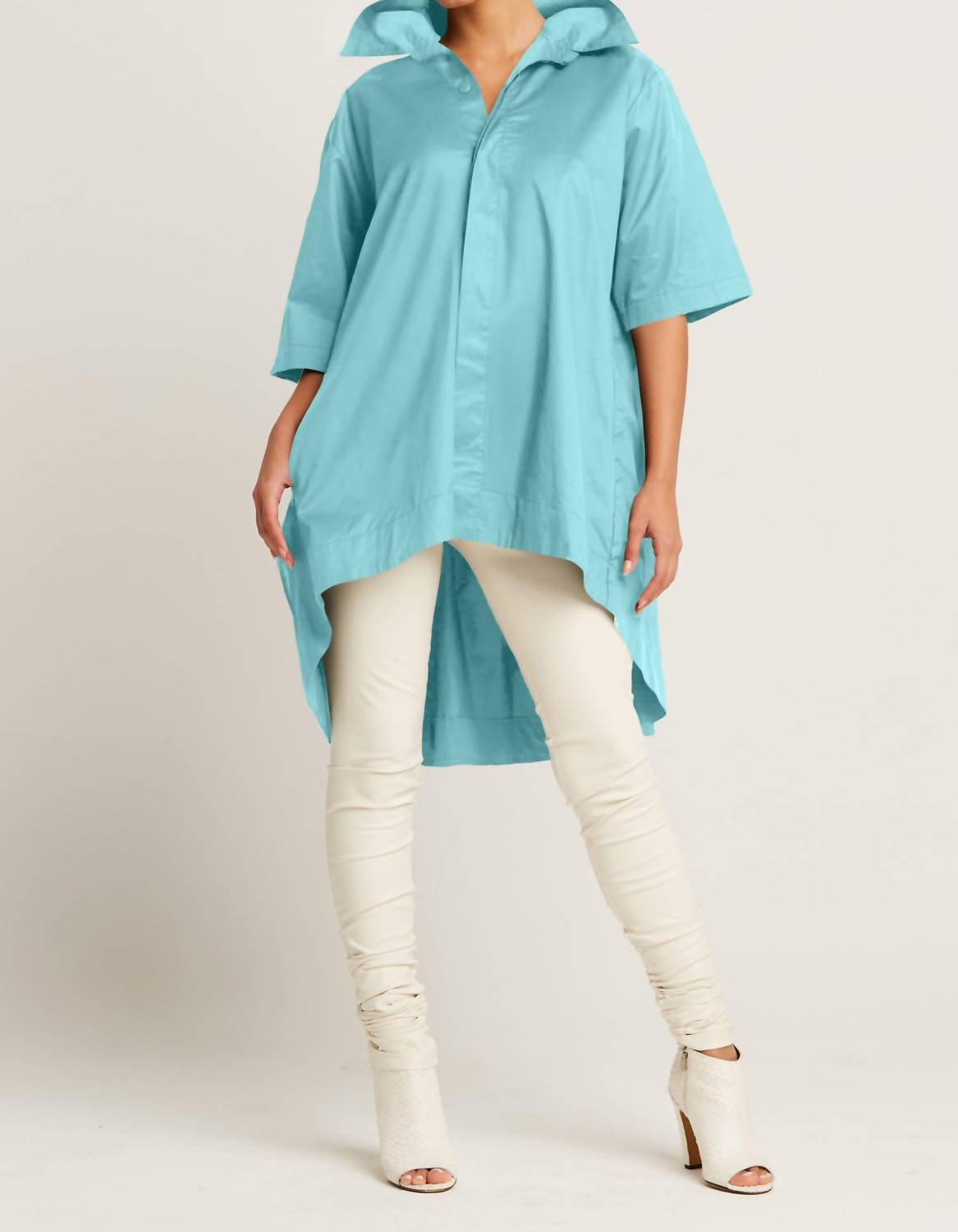Planet By Lauren G. - Pleat Back Shirt
