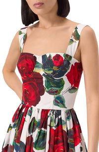 Dolce & Gabbana - Print Rossa Bustier Dress