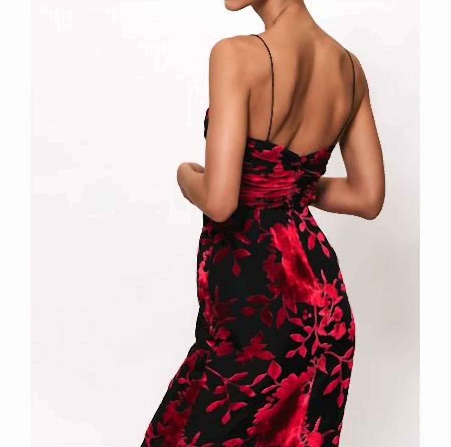 Hutch - Tylia Ruched Maxi Dress