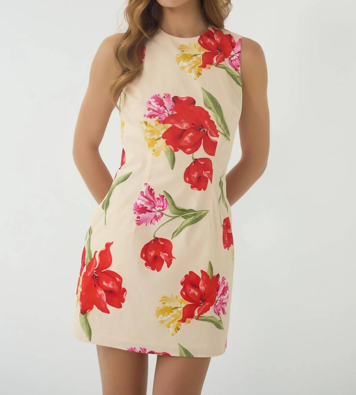 Hutch - Janesta Mini Dress