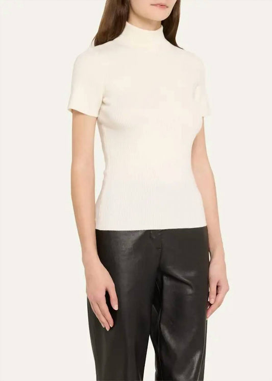 Iro - Alec Ribbed Mock Neck Sweater