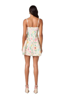 Astr - Birdie Mini Dress