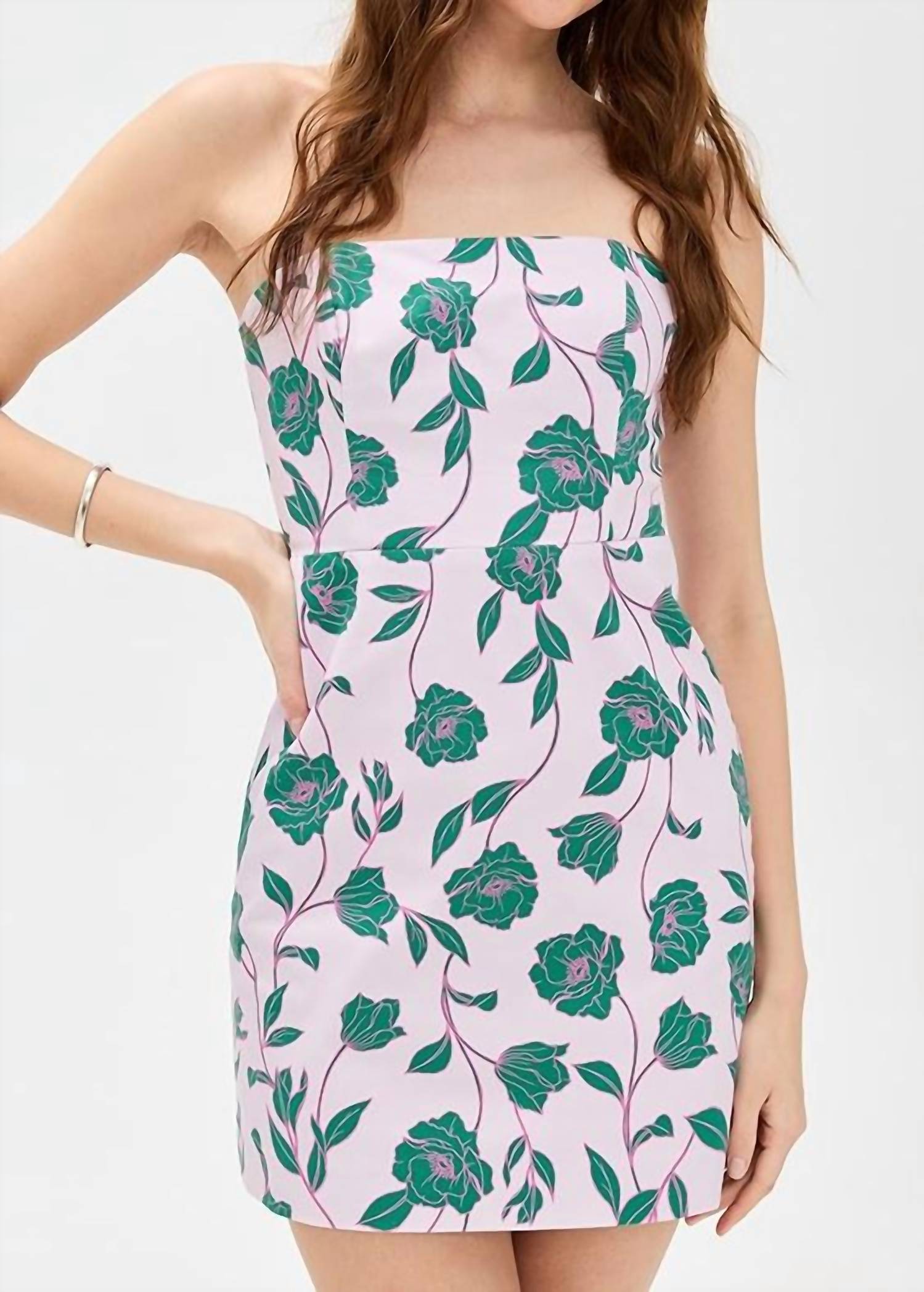 Favorite Daughter - Willow Mini Dress